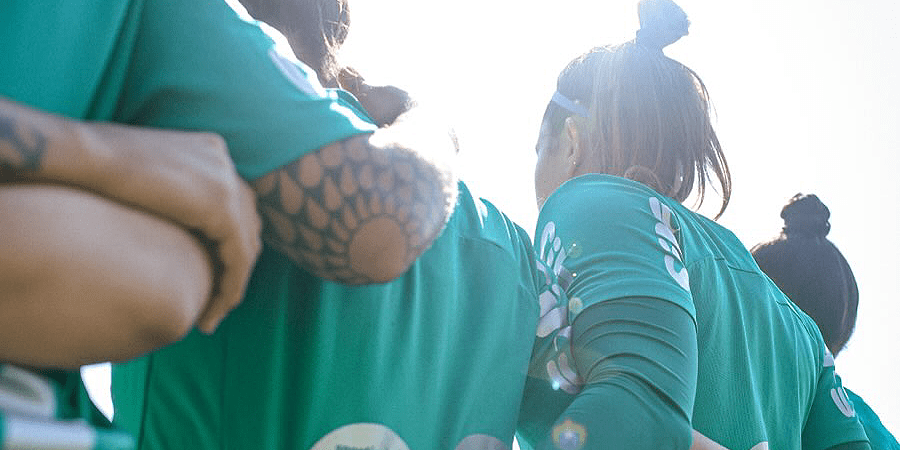 palmeiras recebe cruzeiro na arena barueri 1