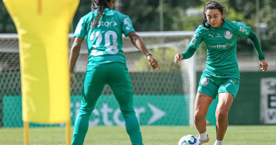 palmeiras recebe flu em barueri 1