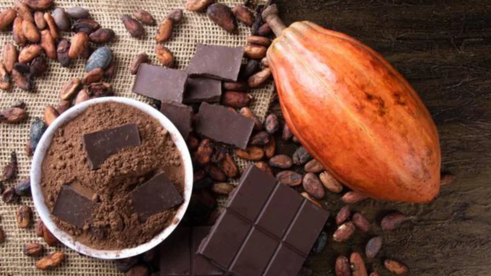 Senado analisa mínimo de 35% de cacau na produção de chocolate.